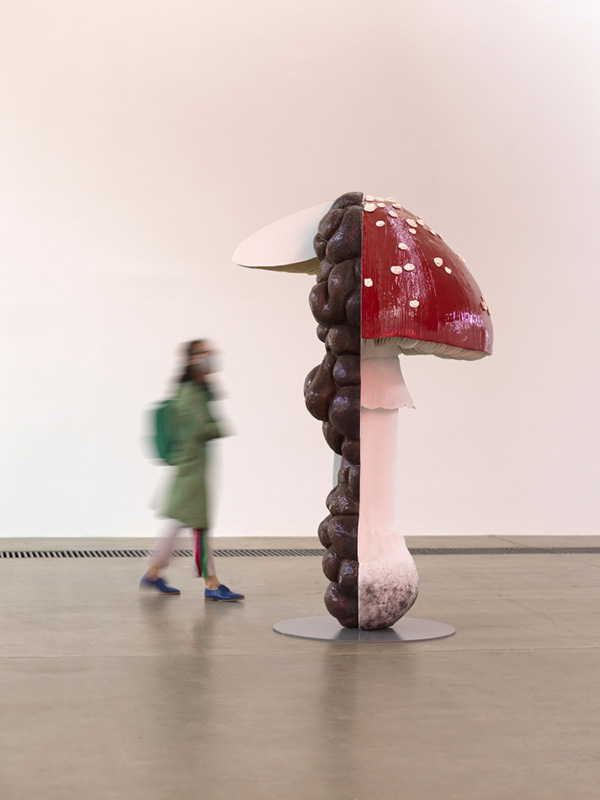 CARSTEN HÖLLER 'The Art of Mushrooms'