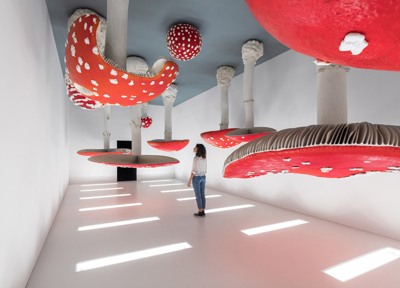 CARSTEN HÖLLER 'Upside Down Mushroom Room' inside 'Atlas'